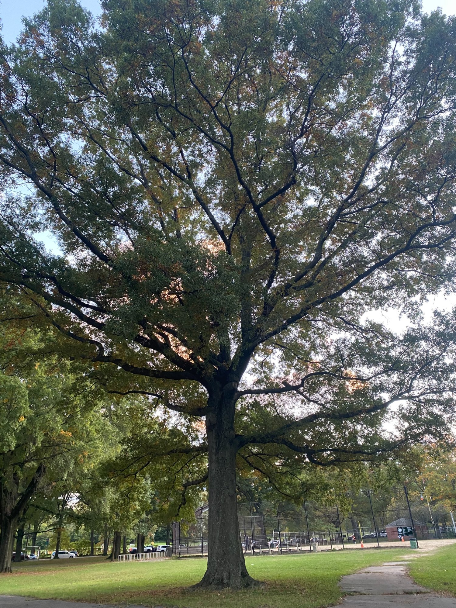 Near Highways & Sound Walls