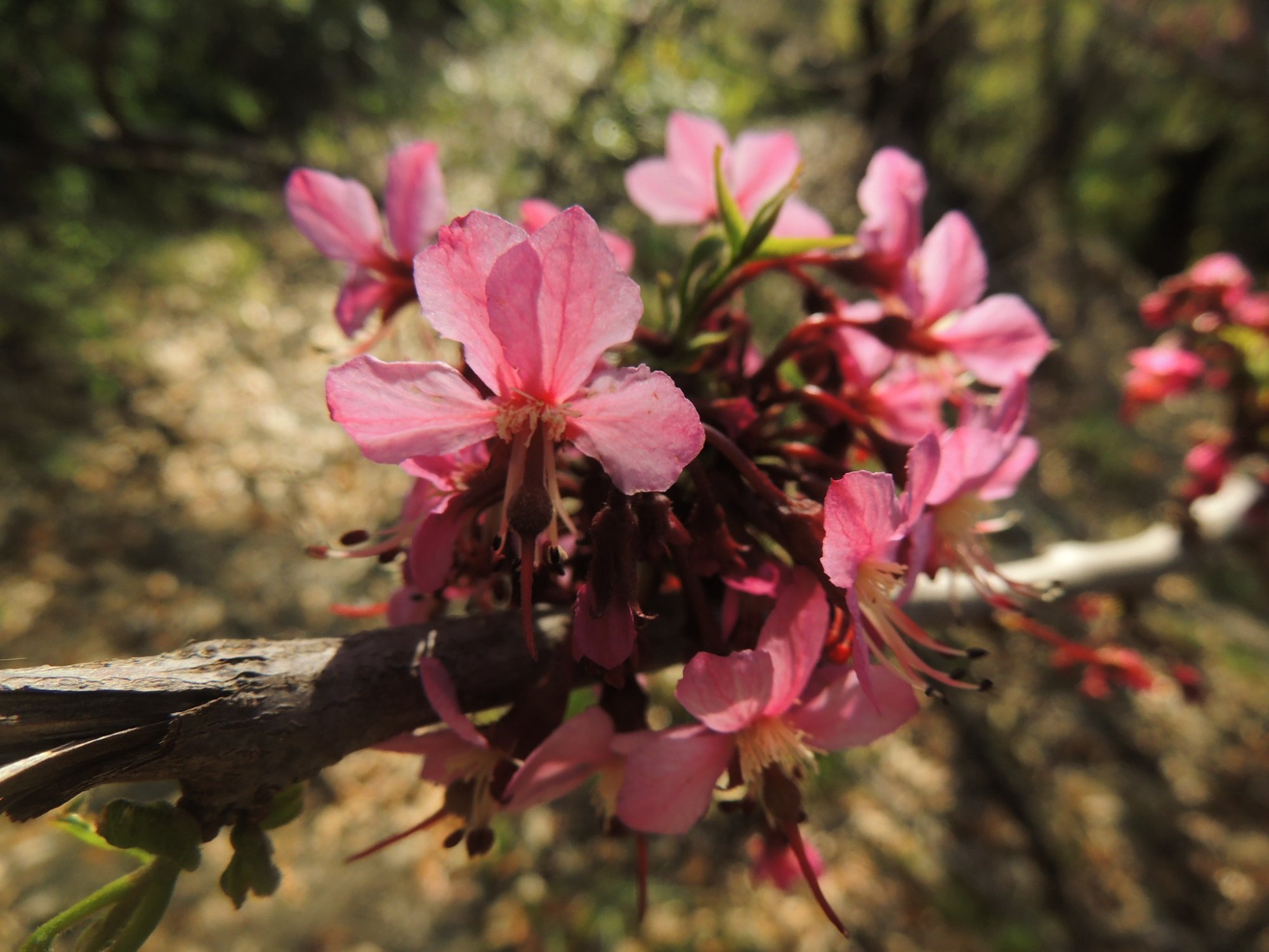 Schools & Institutional Grounds