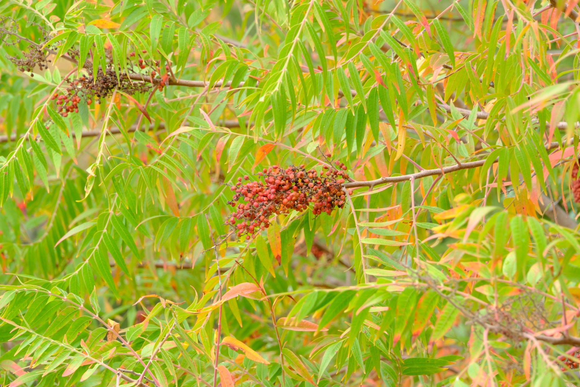 Commercial & Industrial